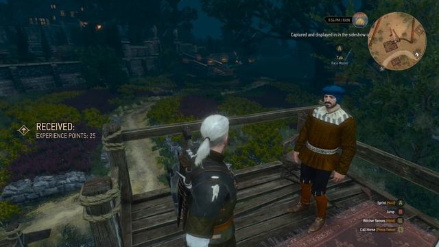 The Witcher 3 Wild Hunt - Race: The Great Eramus Vegelbud Memorial Derby смотреть онлайн