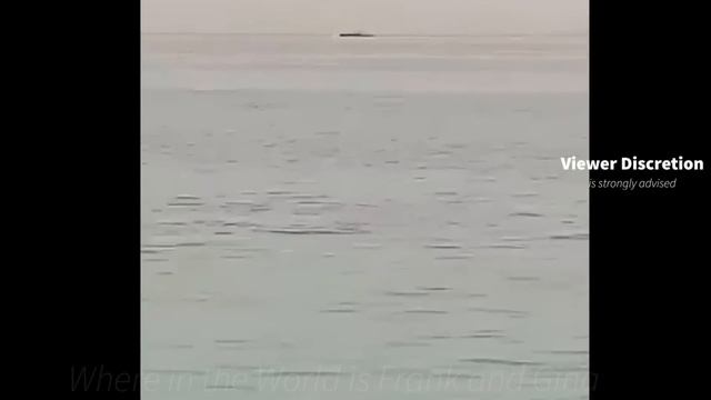 The 2023 Tiger Shark attack on Vladimir Popov in Egypt (full video) Viewer Discretion is advised! смотреть онлайн