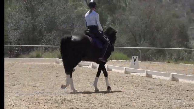 Учебная рысь. Как не подпрыгивать.