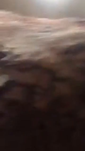 Шкуры КРС смотреть онлайн