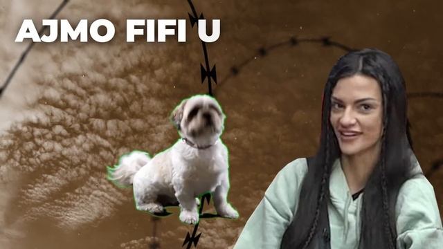 Šaov Tobogan feat. Nenad Aleksić Ša & Tara Simov - Vruće mi je do jaja (ajmo Fifi u kućicu rmx) смотреть онлайн