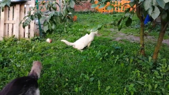 Аврора, с Днем Рождения! смотреть онлайн
