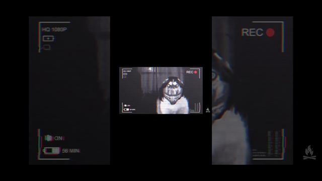 История собаки-улыбаки 😈 (слабонервным лучше несмотреть!) смотреть онлайн