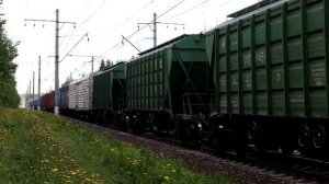 Грузовые поезда - 89.