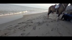Avani+ Hua Hin Resort Beach