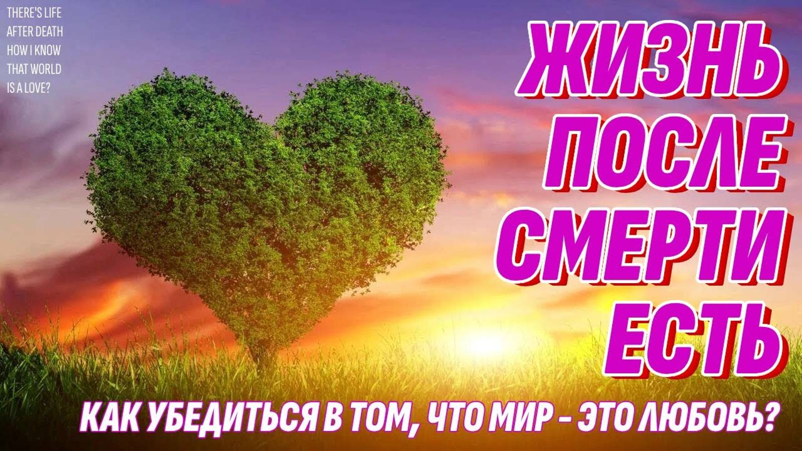 Жизнь после смерти есть - Как убедиться в том, что мир состоит из Любви, а не из зла? смотреть онлайн