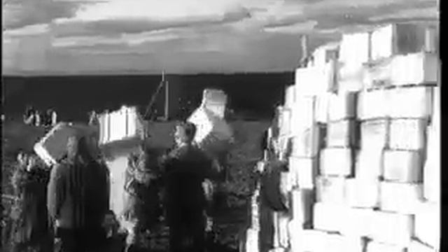 Киножурнал / НОВОСТИ ДНЯ 1954 г N 64 смотреть онлайн