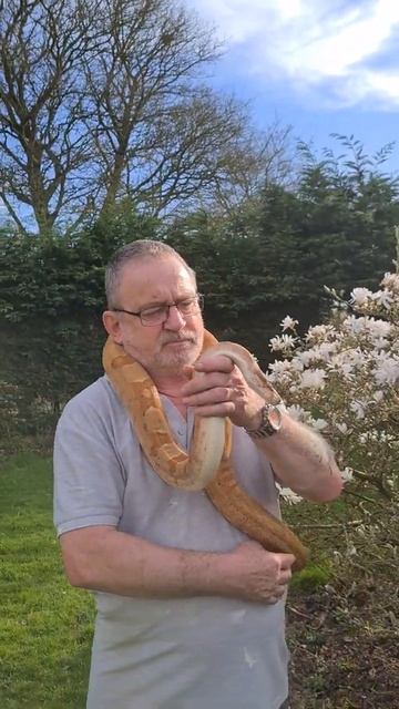 Sunset Boa, Rosalita my cb15 sunset boa girl смотреть онлайн