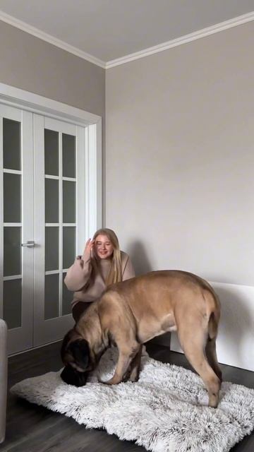 Балую свою собаку 💔🐶 #обзор #распаковка #shorts смотреть онлайн