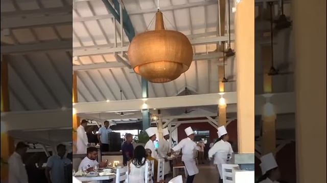 Club Hotel dolphin waikkal. #highlyrecommended #besthotels Wow it’s the best hotel смотреть онлайн