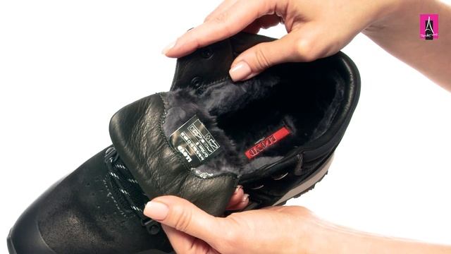 3212680 Видеообзор I Мужские кроссовки высокие LLOYD смотреть онлайн