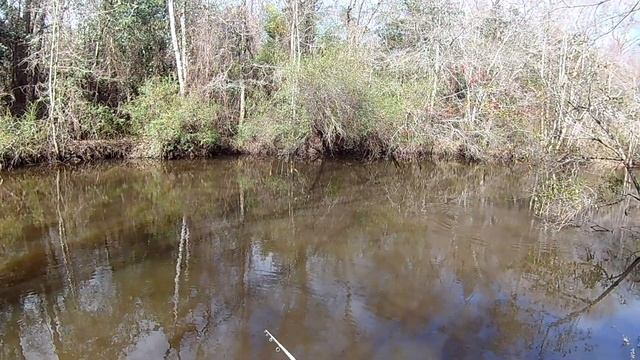 I think I found a Alligator смотреть онлайн