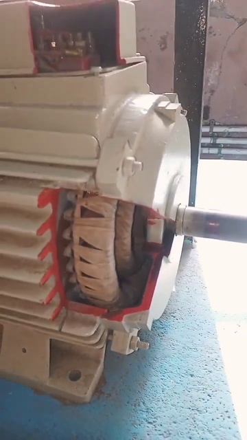 3 Phase Slip Ring Induction Motor 🤩 #shorts #viral #viralvideo #trending #short смотреть онлайн