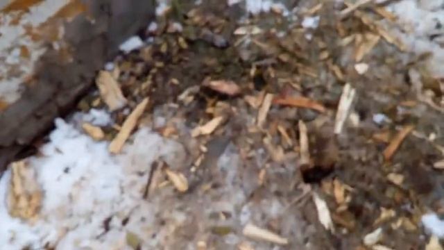 Отпустил мышку смотреть онлайн