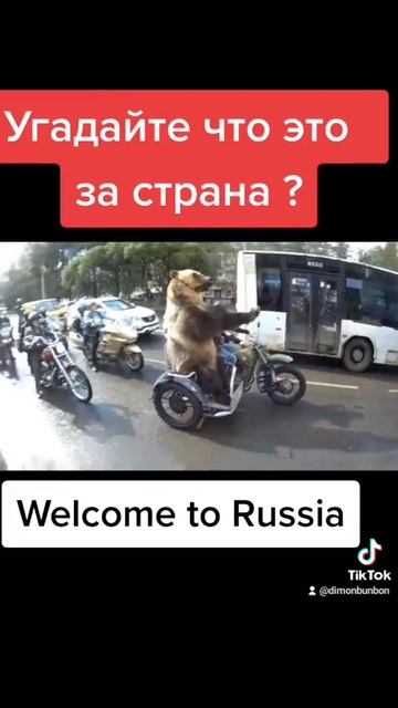 Прикол медведь Россия сила смотреть онлайн
