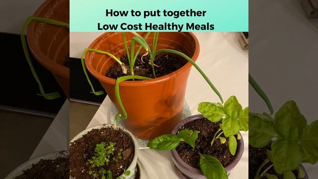 HOTB 282: How to put together low cost healthy meals смотреть онлайн