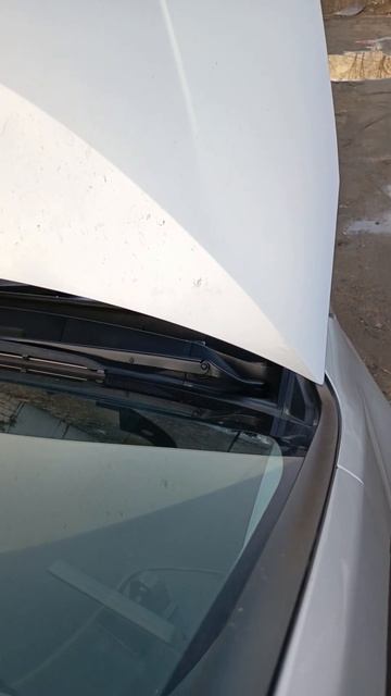 Prius 55 с волговскими сигналами