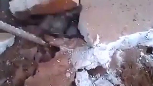 Крысы онлайн смотреть онлайн