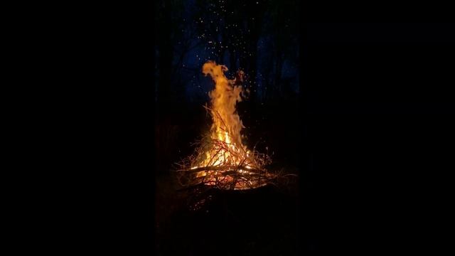 YS -UZAC BOIS FOU - ALÉM DO NICHO ! смотреть онлайн