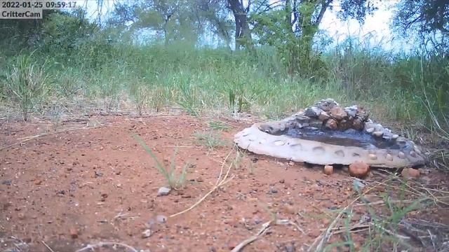 Все бегут смотреть онлайн