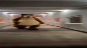 Медведь бежит по коридору под старшую музыку