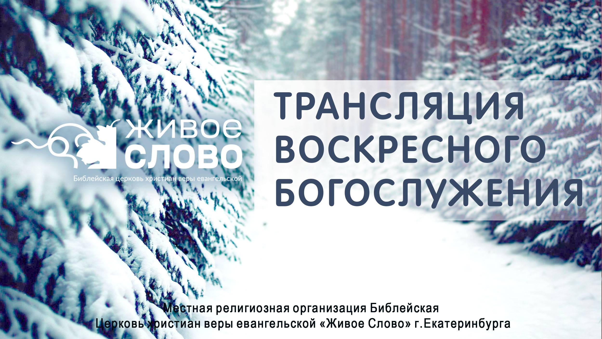 2 февраля 2025 в 11:00 (ЕКБ) / Воскресное #богослужение / Церковь «Живое Слово» смотреть онлайн