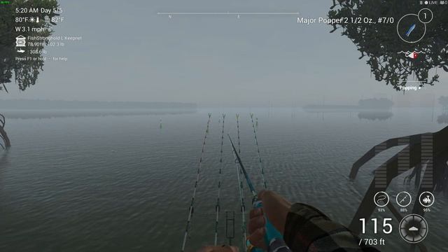 Fishing Planet wats best Blue crab or Amazon смотреть онлайн