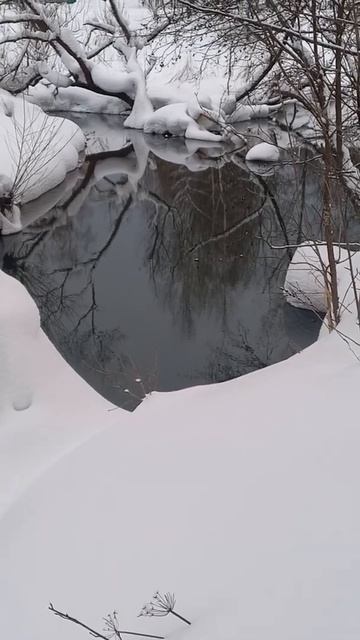 Осьминог в Подмосковной реке. смотреть онлайн