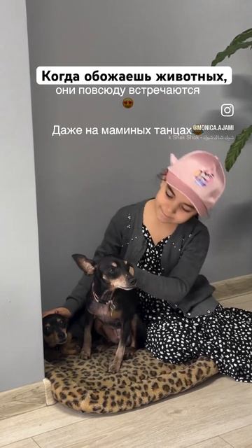 Ах эта любовь к питомцам… Мечтает сделать приют для животных🥹❤️ #моника_патимейкер #моника_аджами смотреть онлайн