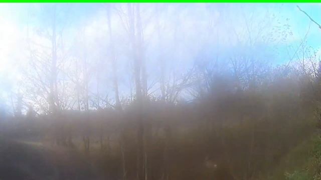 Охота на козла загоном.2017ю(merkel Sr1)