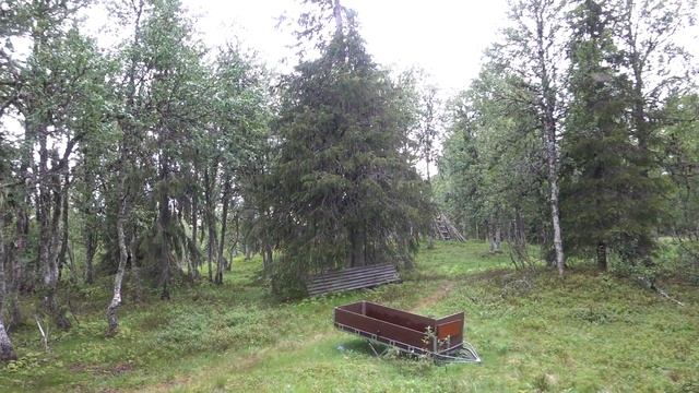 Sverige på längden | Thru-hiking Sweden EP07: Borderland of Jämtland and Västerbotten смотреть онлайн