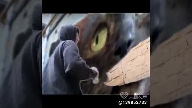 Внимание сигнал потерян!!!🤣🤣🤣 смотреть онлайн