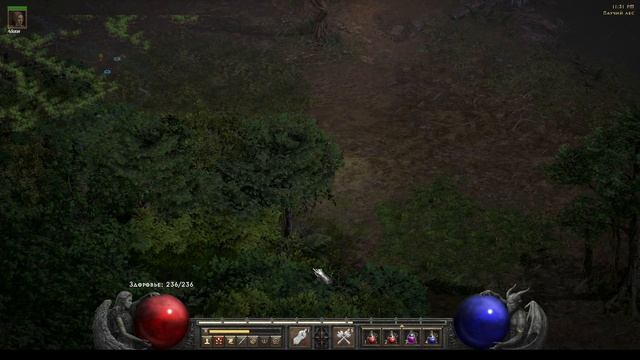 Diablo II Resurrected #31