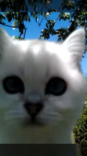 Female K ns 11 33 смотреть онлайн