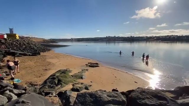"Морские котики" в Рейкьявике 😄 смотреть онлайн