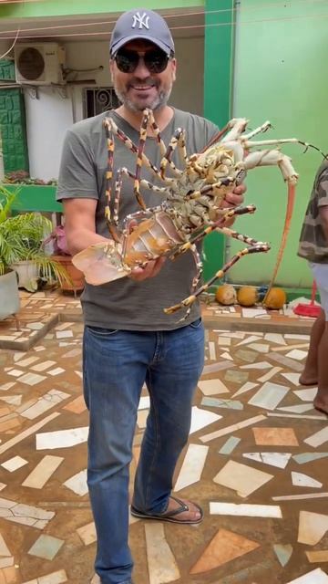 на Мадагаскаре. Гигантский лангуст смотреть онлайн