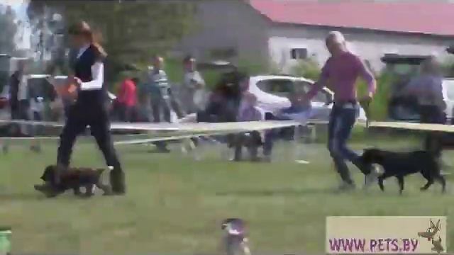 Best Baby смотреть онлайн
