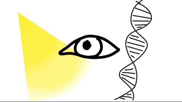 Wearing Glasses Linked To IQ? смотреть онлайн