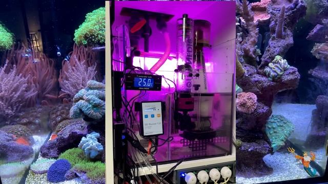 Aqua Medic multi reactor Gen II смотреть онлайн