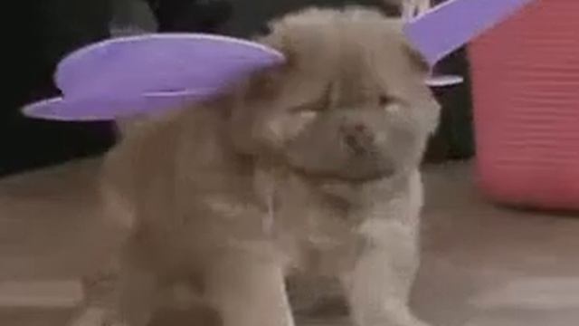 Какая прелесть смотреть онлайн