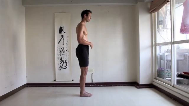 Snake Creeps Down and Golden Rooster Stands on One Leg (24 Style Tai Ji) смотреть онлайн
