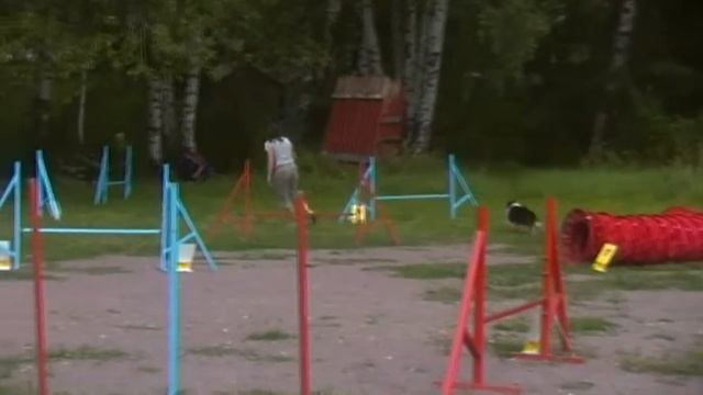 Кольчатова смотреть онлайн