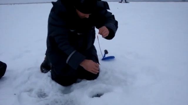 щука на 2 кг смотреть онлайн