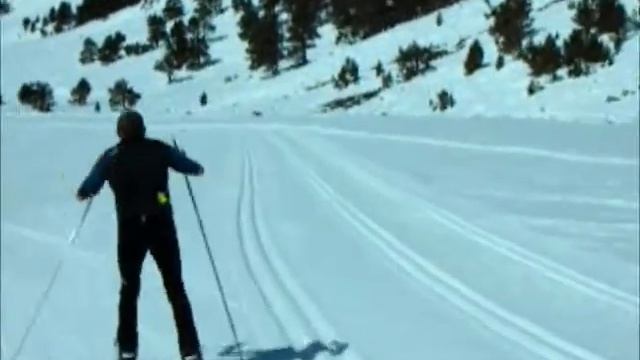 COLIBRI PATINADOR смотреть онлайн