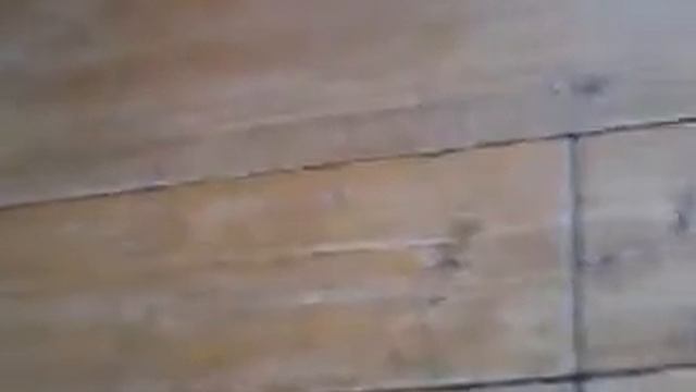 Пушистая рыбка смотреть онлайн