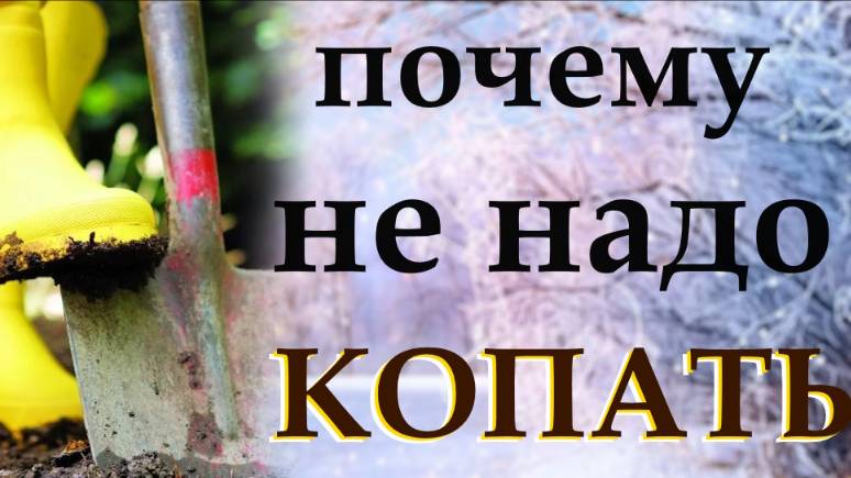Как сделать землю плодородной и почему надо перестать копать на огороде