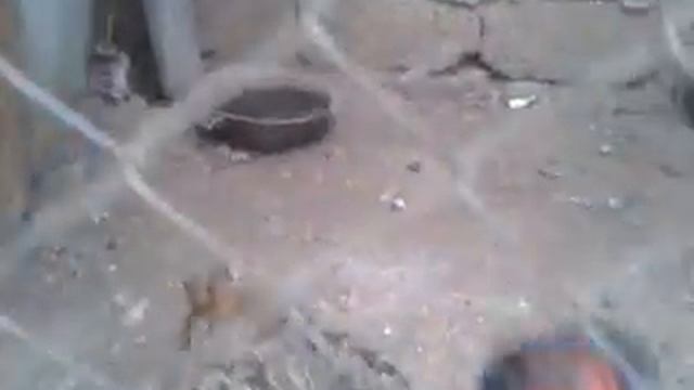 Qirqovul смотреть онлайн