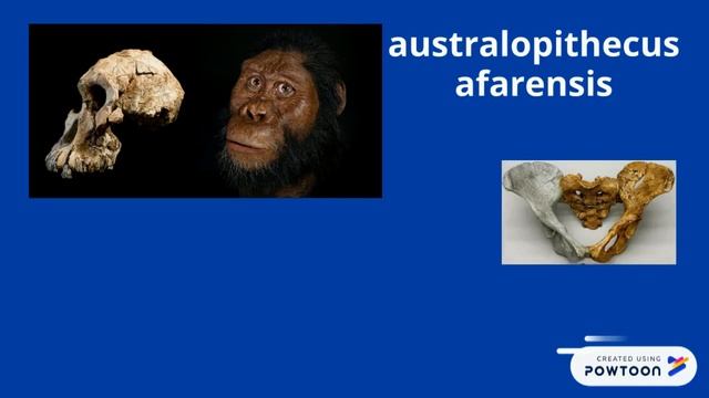 3. Teil Bio смотреть онлайн