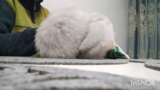 СНЕГОПАД/РАСПАКОВКА ПОСЫЛОК/РЕЦЕПТ ПОСТНОГО САЛАТА/РЕМОНТ СВОИМИ РУКАМИ смотреть онлайн