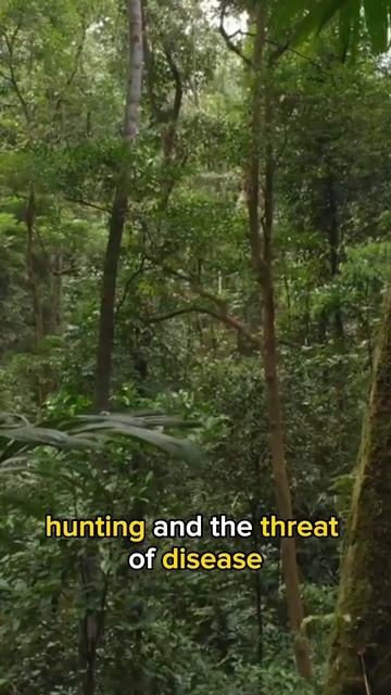 Meet the Asian Unicorn смотреть онлайн